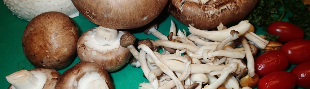 Mistrix Recepten Collectie